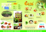 Tờ rơi quảng cáo