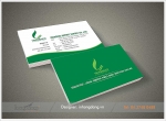 Card visit